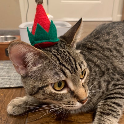 Elf Hat for Cats - Etsy