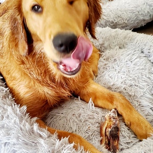 Dawn adicionaram uma foto da sua compra