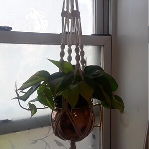 J Estela added a photo of their purchase