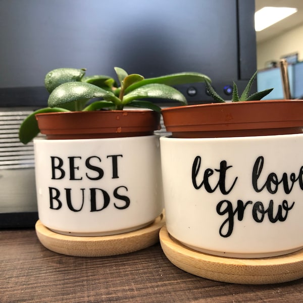 Succulent Planters - Cute Plant Pots, Small Flower Pots, Funny Unique ...