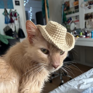 Cassandra added a photo of their purchase