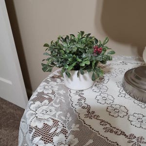 Tina さんが購入した商品の写真を追加しました