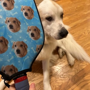 Carin さんが購入した商品の写真を追加しました