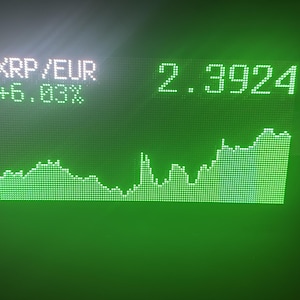 Frans added a photo of their purchase