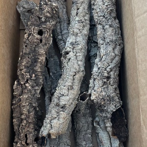 Cork Bark Rounds 2 Lbs Animal Hides in a Terrarium / Vivarium - Etsy