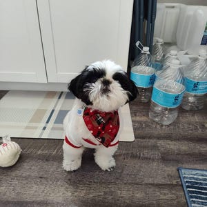 Caleb ha añadido una foto de su compra