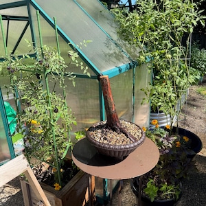 Jim added a photo of their purchase