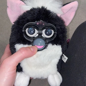 Daniel added a photo of their purchase
