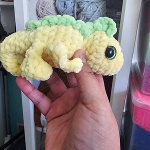 Rose added a photo of their purchase