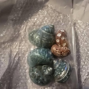 Biviana added a photo of their purchase
