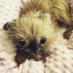 Erin added a photo of their purchase