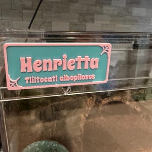 Jenny added a photo of their purchase