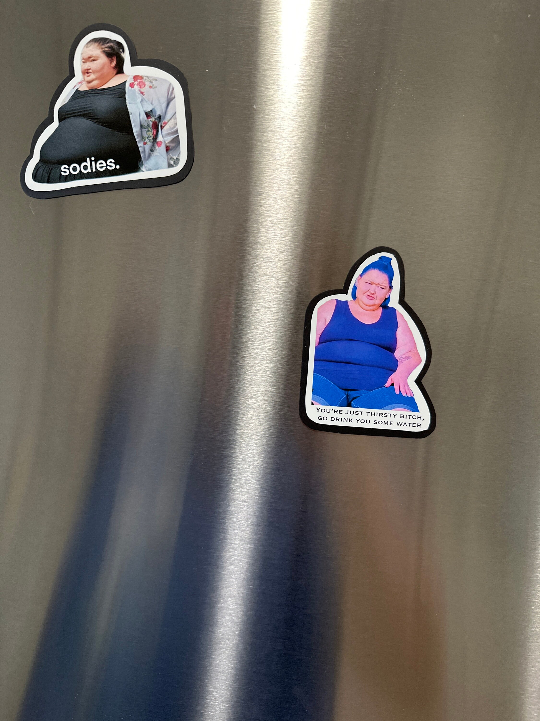 Amy Slaton magnet, 1000 lb sisters magnet, funny fridge magnet, sodies, TLC show, 1000 pound sisters, my 600 pound life, my bills are paid