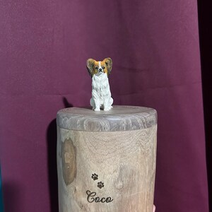 Chloe ha añadido una foto de su compra