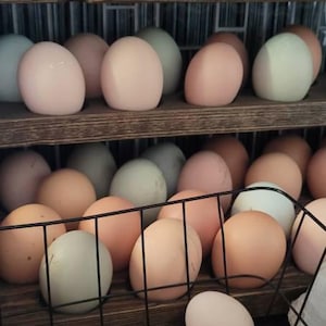Miranda added a photo of their purchase