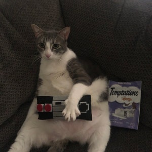 Chris added a photo of their purchase