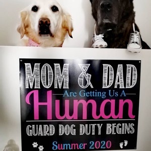 My dad (and mom): “We're not getting another dog after Buddy