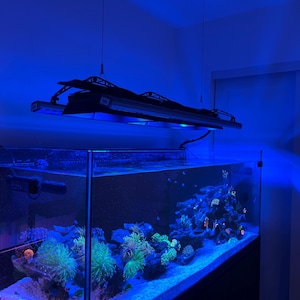 Matias added a photo of their purchase