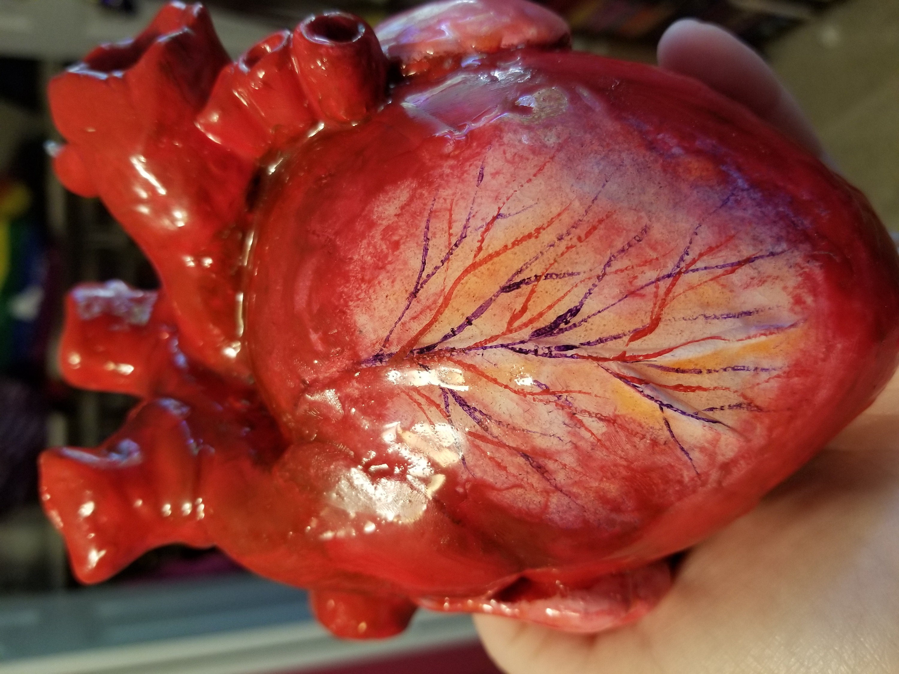 Life Size Human Heart,Handmade Heart,Realistic Heartc,Bloody Heart