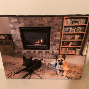 Dan added a photo of their purchase