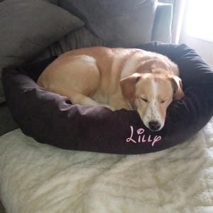 Amanda added a photo of their purchase