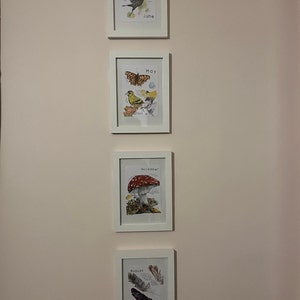 Jenny ha añadido una foto de su compra