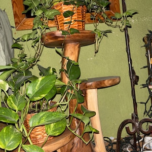 Maria added a photo of their purchase
