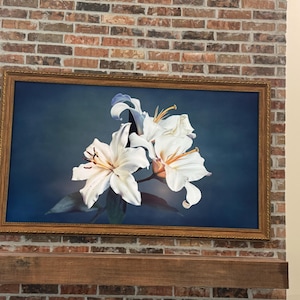 Marissa added a photo of their purchase