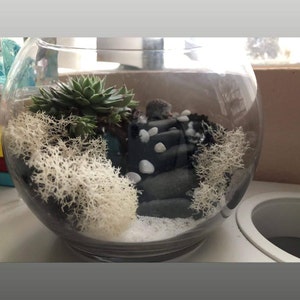 Diamond added a photo of their purchase