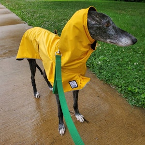 greyhound raincoat with hood