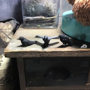 Renee added a photo of their purchase