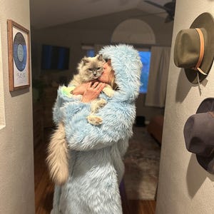 Rachel added a photo of their purchase