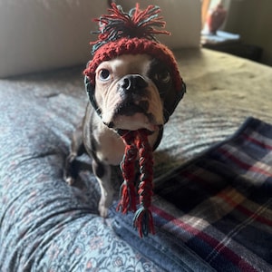 Kate added a photo of their purchase