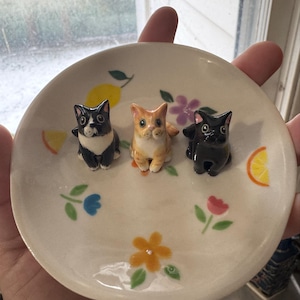 Manda added a photo of their purchase