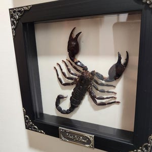 Annie added a photo of their purchase