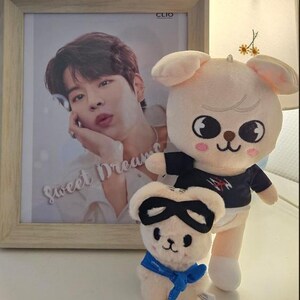 Seungmin / Kim Seungmin Skzoos, Puppym Set Present, Pilot Skzoo