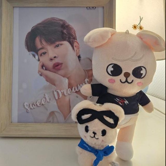 Seungmin / Kim Seungmin Skzoos, Puppym Set Present, Pilot Skzoo