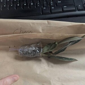 Barbara さんが購入した商品の写真を追加しました