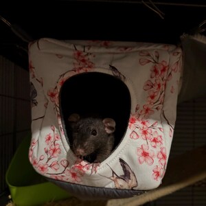 Sarah added a photo of their purchase