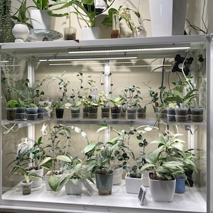 IKEA Milsbo Tall Greenhouse Cabinet Acrylic Shelf – Plantal