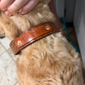 Meredith added a photo of their purchase