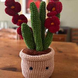 Sarah ha añadido una foto de su compra
