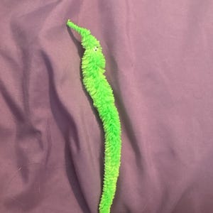 Bird added a photo of their purchase