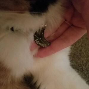 Atlas added a photo of their purchase
