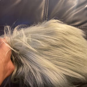 Guy added a photo of their purchase