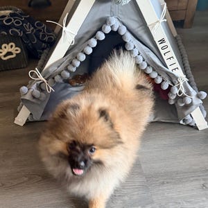 Renee added a photo of their purchase