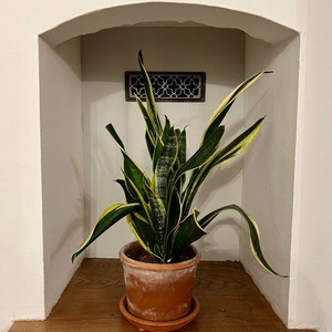 Laura added a photo of their purchase