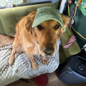 Ivy added a photo of their purchase