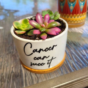Amy added a photo of their purchase