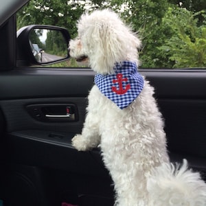 Jill added a photo of their purchase